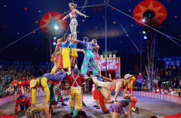 O DIA do CIRCO!